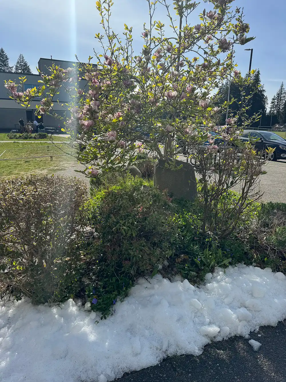 What&rsquo;s a Hallmark Holiday Movie Set Like? Us Takes You Behind-the-Scenes on &lsquo;Three Wiser Men and a Boy&rsquo;