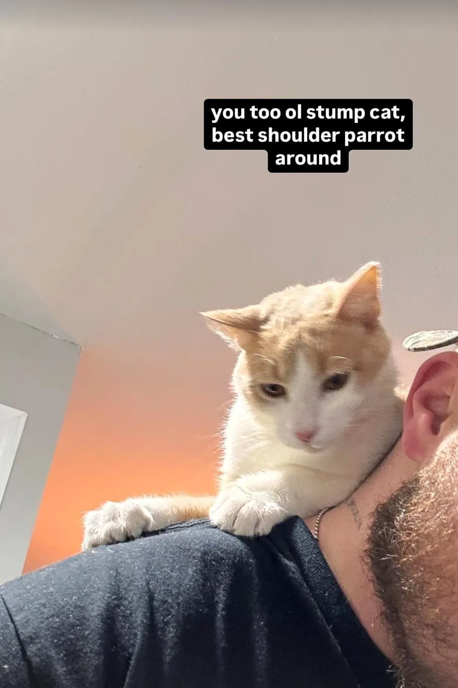 Zach Bryan Poses With Brianna Chickenfry s Cat After Stealing It 0282