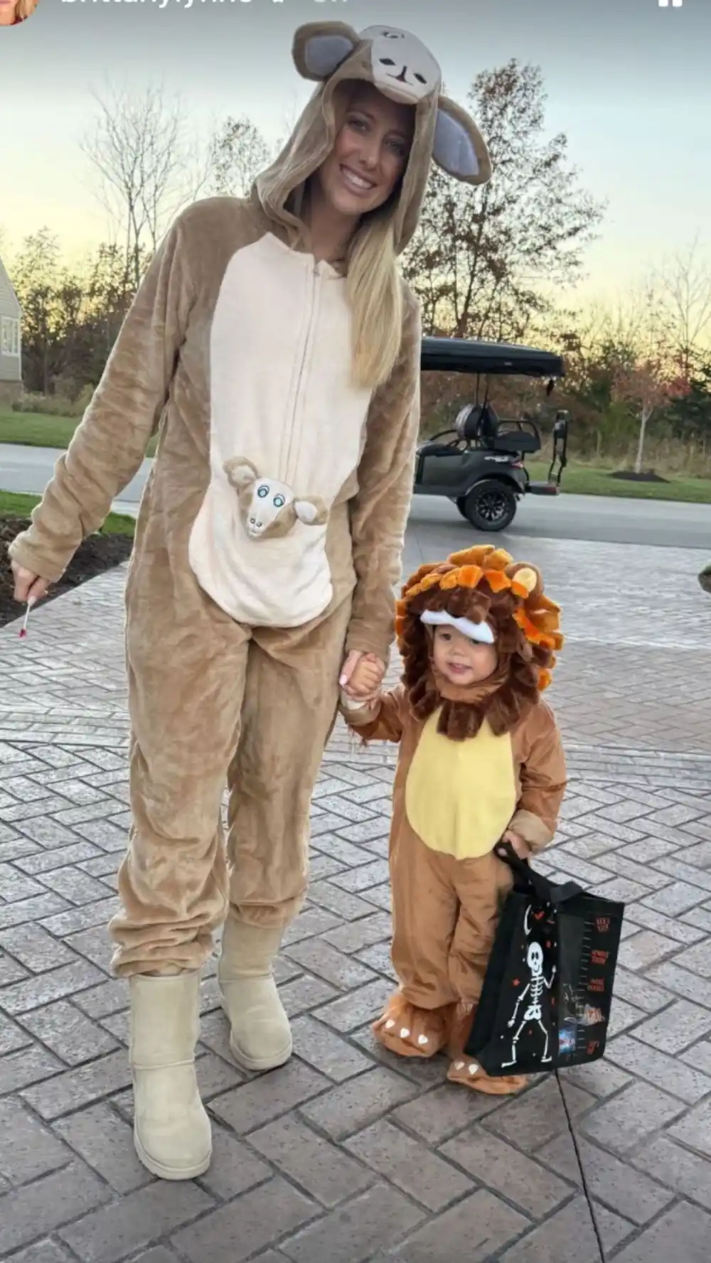 Brittany Mahomes Bronze lion