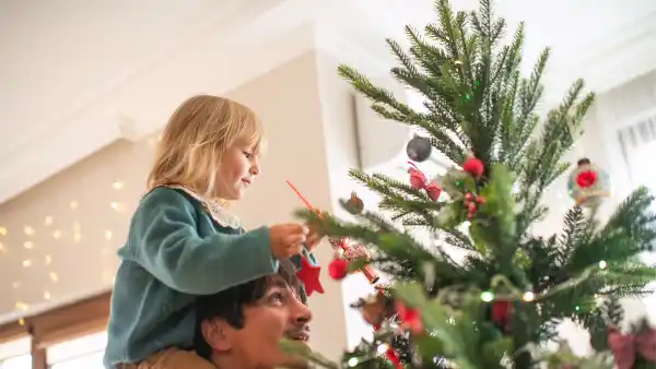 christmas tree holiday decor amazon