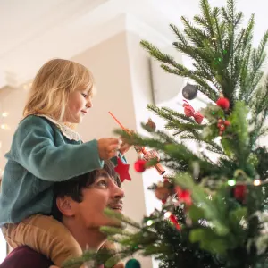 christmas tree holiday decor amazon