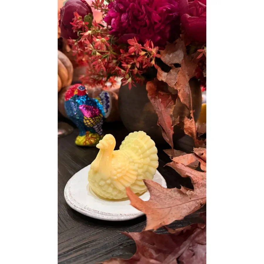 Inside the Kardashian Family 2024 Thanksgiving Celebration