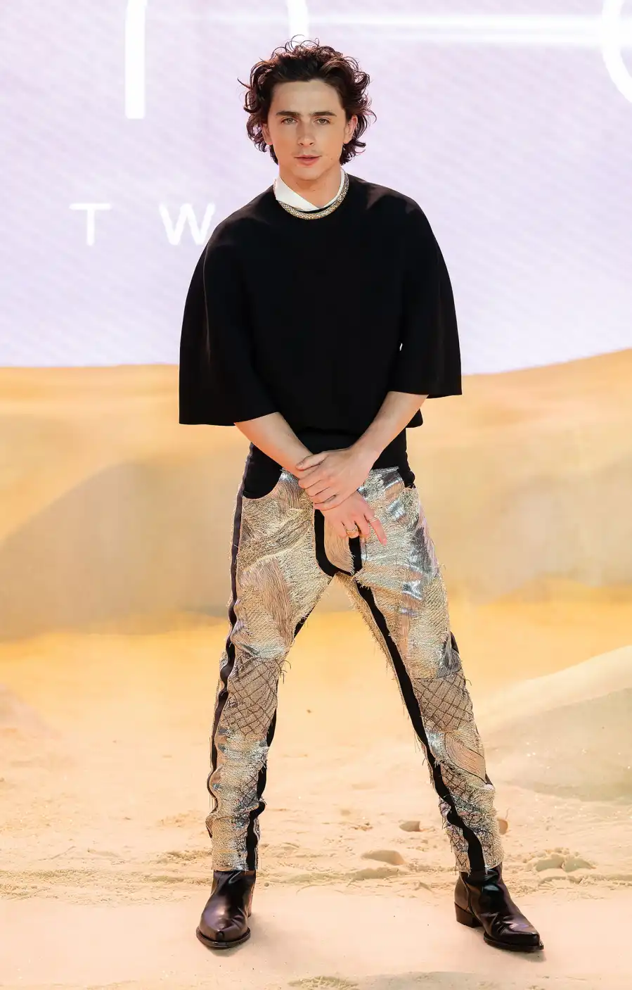 05 Timothee Chalamet Best and Most Buzzed-About Red Carpet Looks of All Time