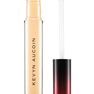 Best Overall: Kevyn Aucoin The Etherealist Super Natural Concealer