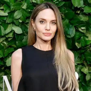 Angelina Jolies Sons Saw Her Expressing a Lot of the Pain That Usually a Parent Hides on Maria