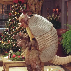 Best Hanukkah TV Episodes to Watch This Holiday The One with the Holiday Armadillo Friends