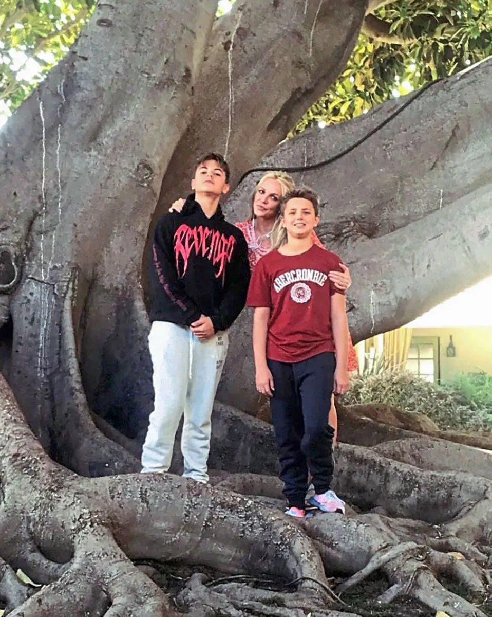 Britney Spears 2453 Luxury Handbag Shopping Sons