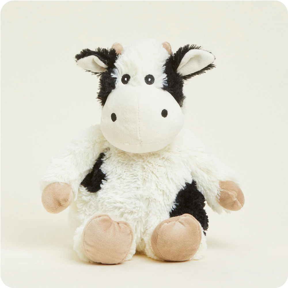 black and white cow