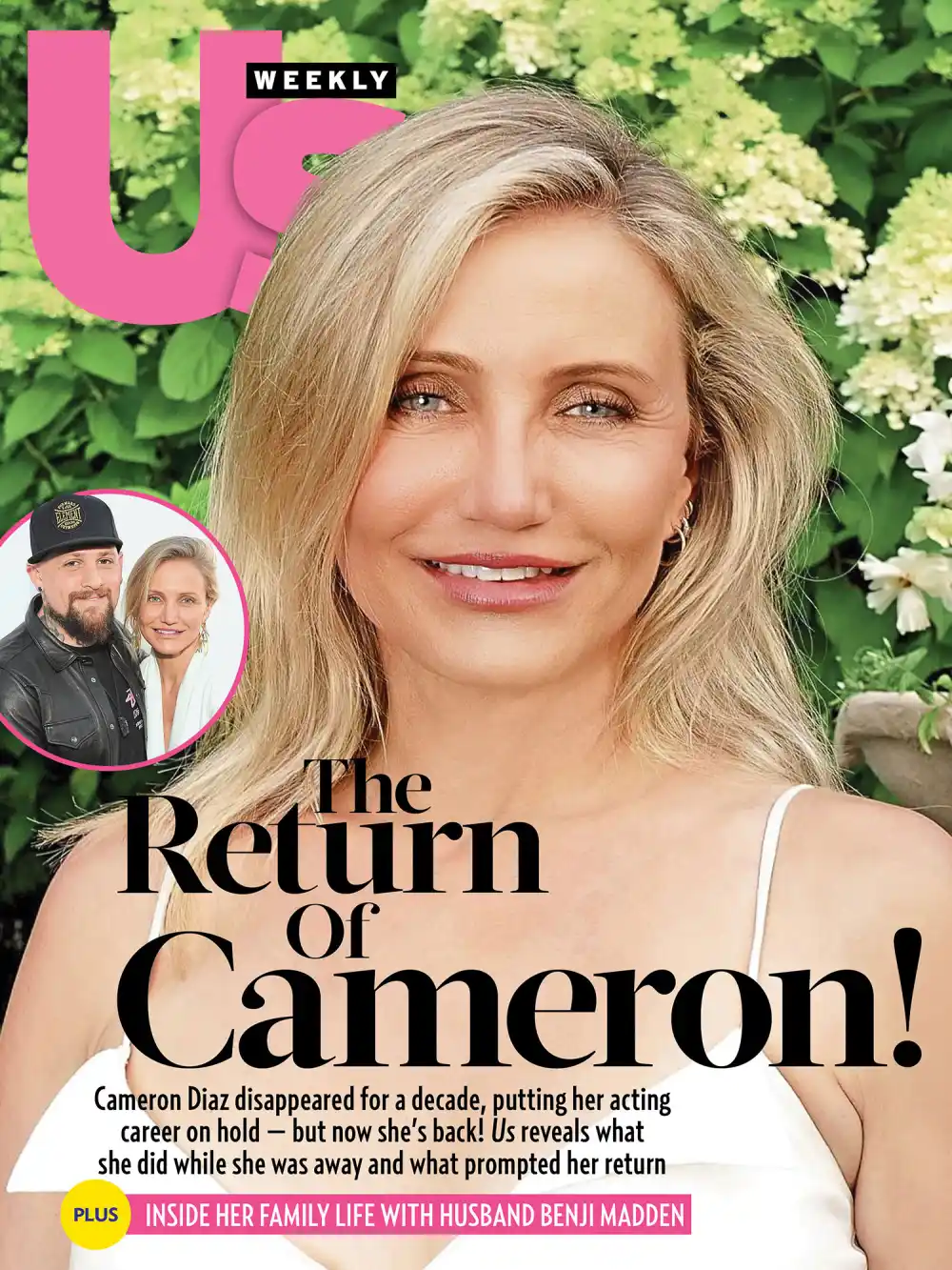 Cameron Diaz 2502 Luxury Handbag Shopping Cover No Chip