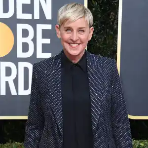 Ellen DeGeneres Jokes Her House in Cotsworlds Did Not Flood After Rumors