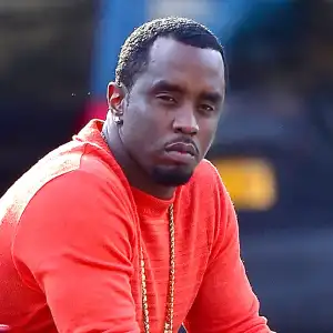 Feature Diddy 2453 Luxury Handbag Shopping 02