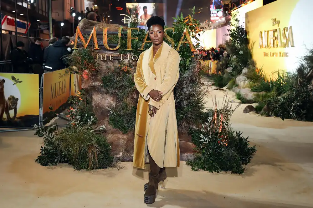 Feature Folake Olowofoyeku