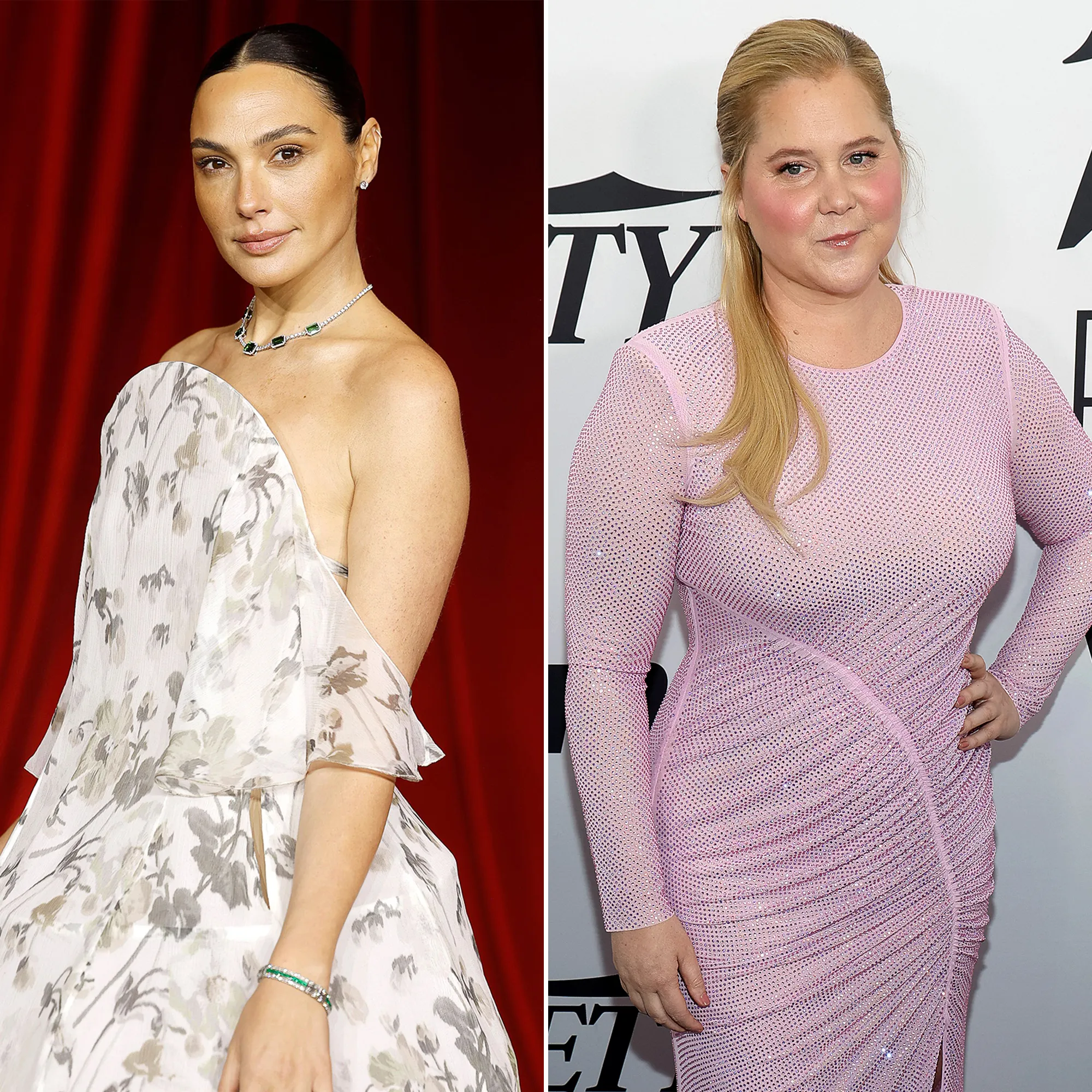 Gal Gadot, Amy Schumer and More Stars Celebrate Hanukkah 2024