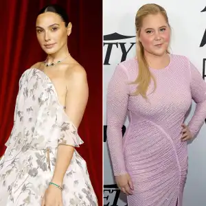 Gal Gadot, Amy Schumer and More Stars Celebrate Hanukkah 2024