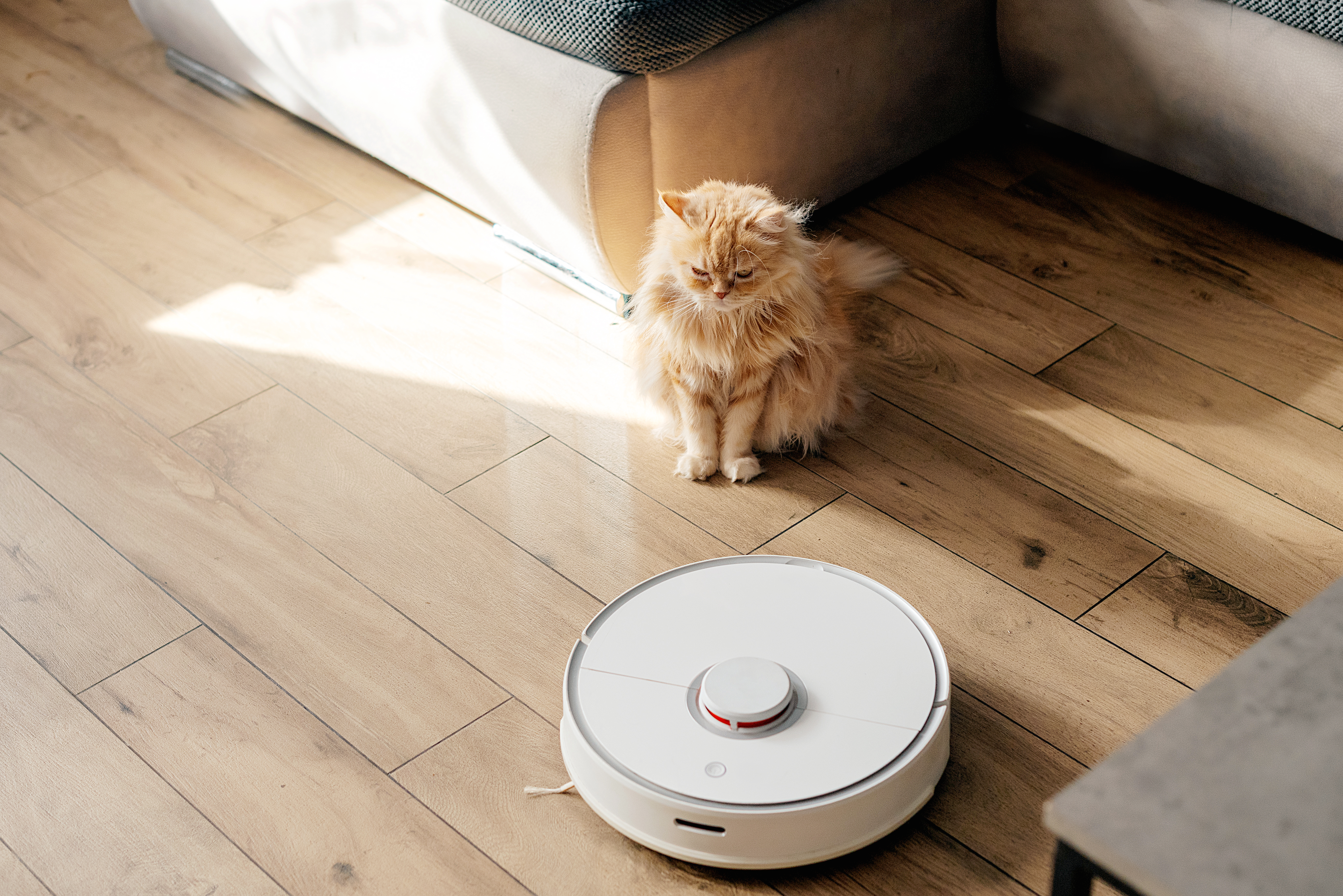 robot vacuum