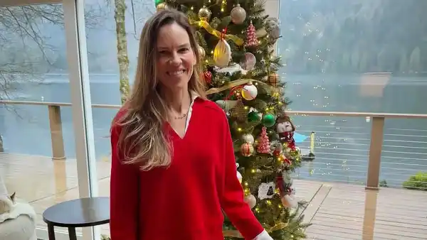 Hilary Swank Poses With 1 of Her and Husband Philip Schneider's Twins in Festive Holiday Photo