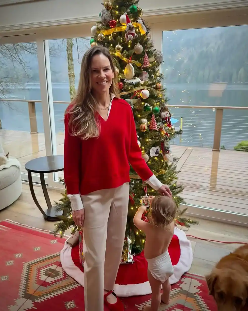 Hilary Swank Poses With 1 of Her and Husband Philip Schneider's Twins in Festive Holiday Photo