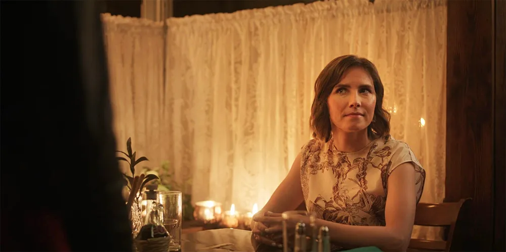 How Did Amanda Knox Make Surprise Cameo in Peacock Laid