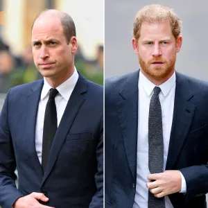 How Prince Harry and Prince William Avoided a Run in for Princess Diana Charity Event