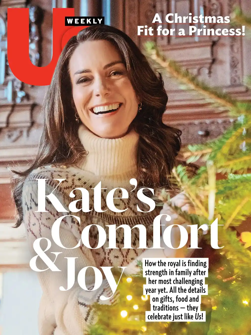Kate Middleton 2452 Luxury Handbag Shopping Cover