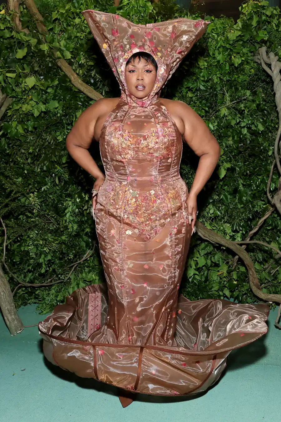 Lizzo Every Red Carpet Outfit That Left Us Confused in 2024