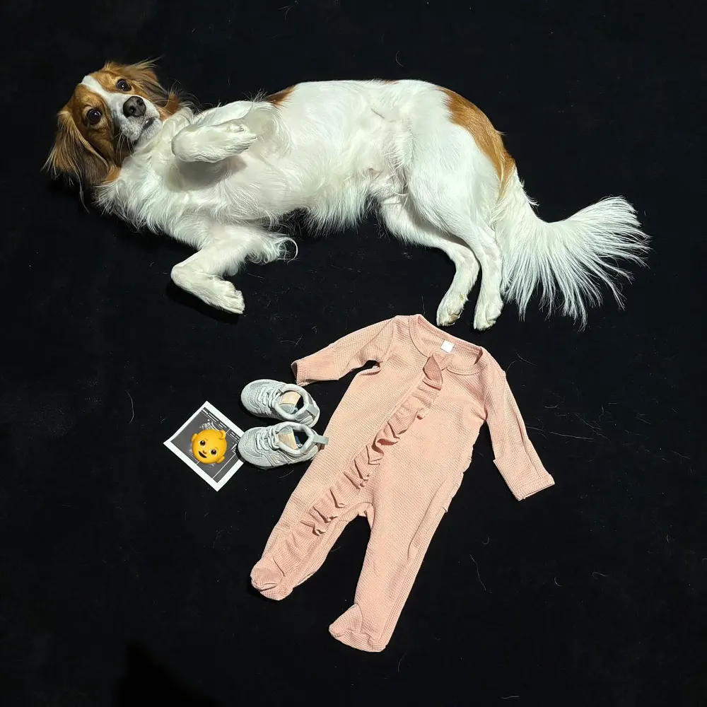 Dodgers' Shohei Ohtani and Wife Mamiko Expecting 1st Baby: 'Can't Wait for the Little Rookie'