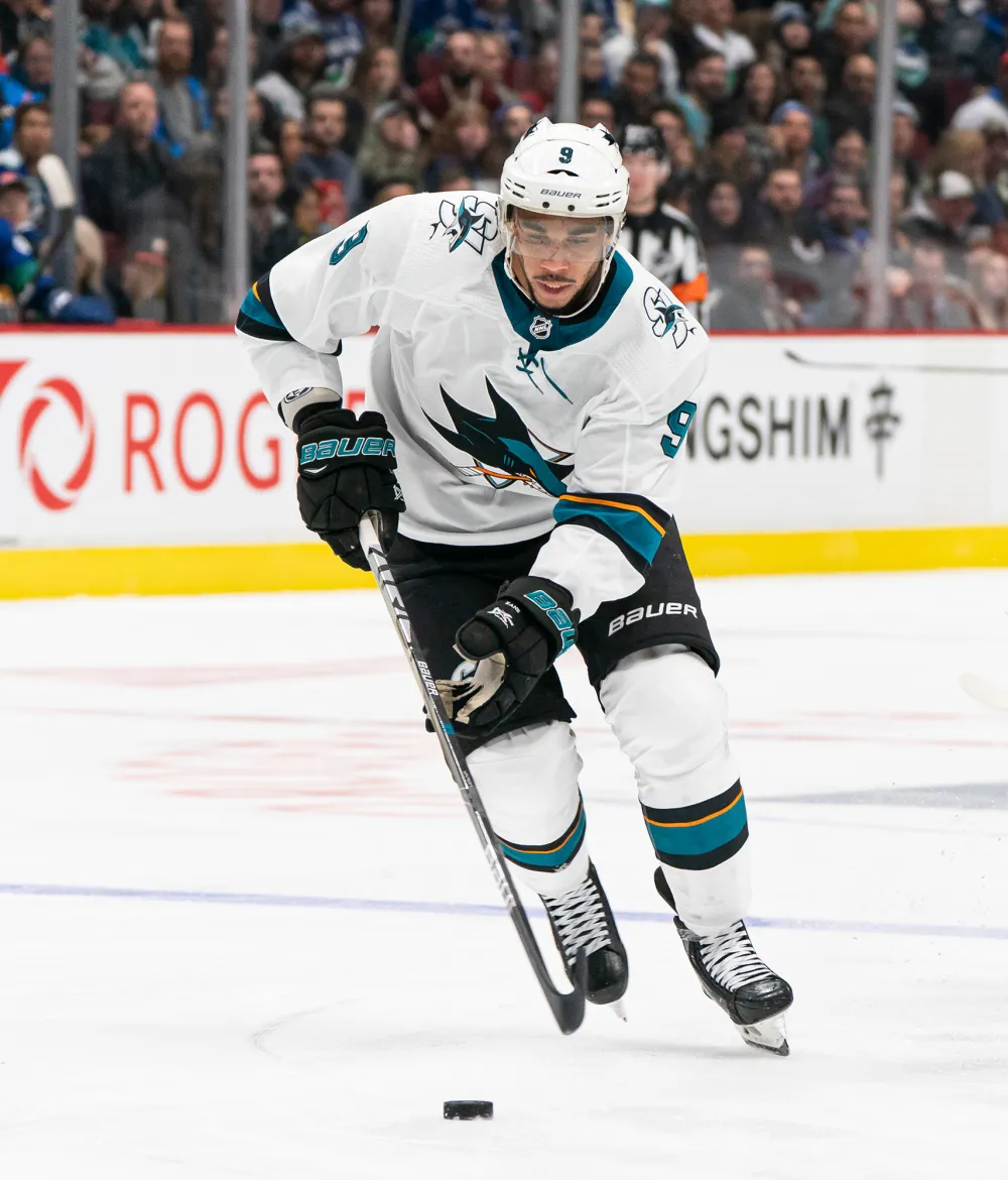 NHL Player Evander Kane and Anna Kane Relationship Timeline