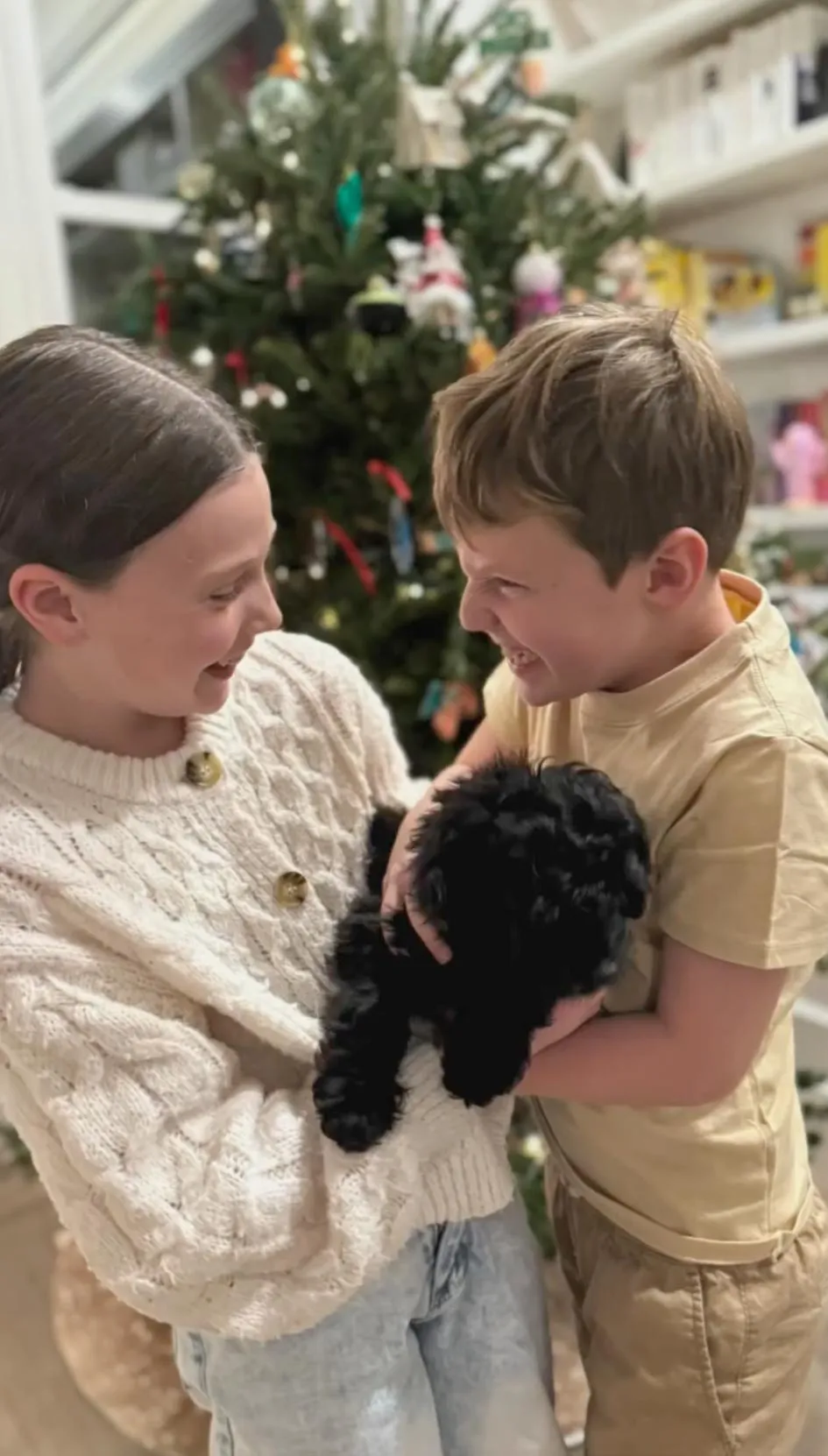 Savannah Guthrie Family Xmas card adopted a puppy