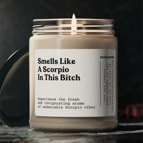 Funny Scorpio Candle