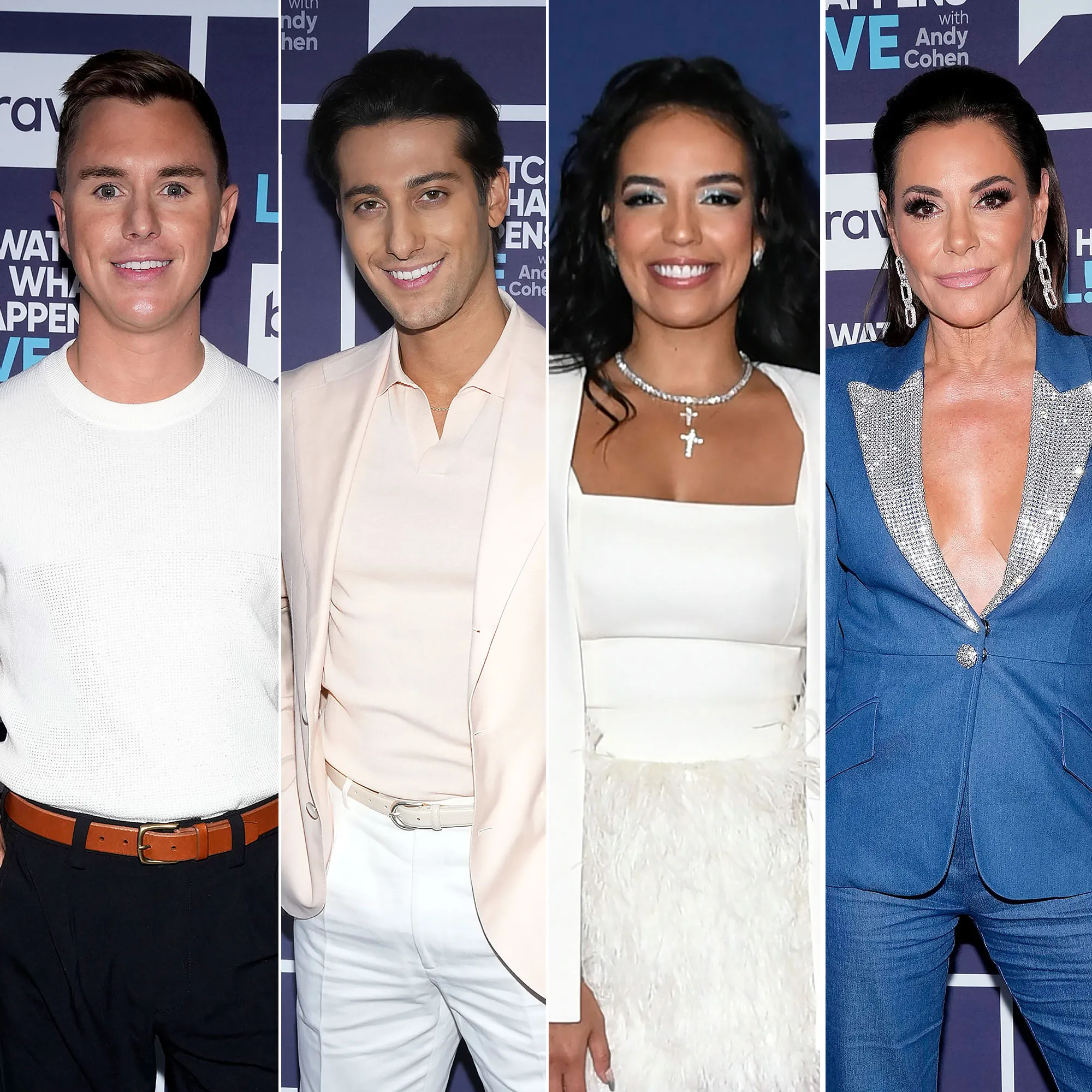 Southern Hospitality Preview TJ Claims Joe Cheated on Danielle Olivera With Luann de Lesseps 2