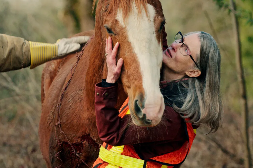 Virgin River Showrunner Patrick Sean Smith Teases What s Ahead After Major Season 6 Cliffhangers 442