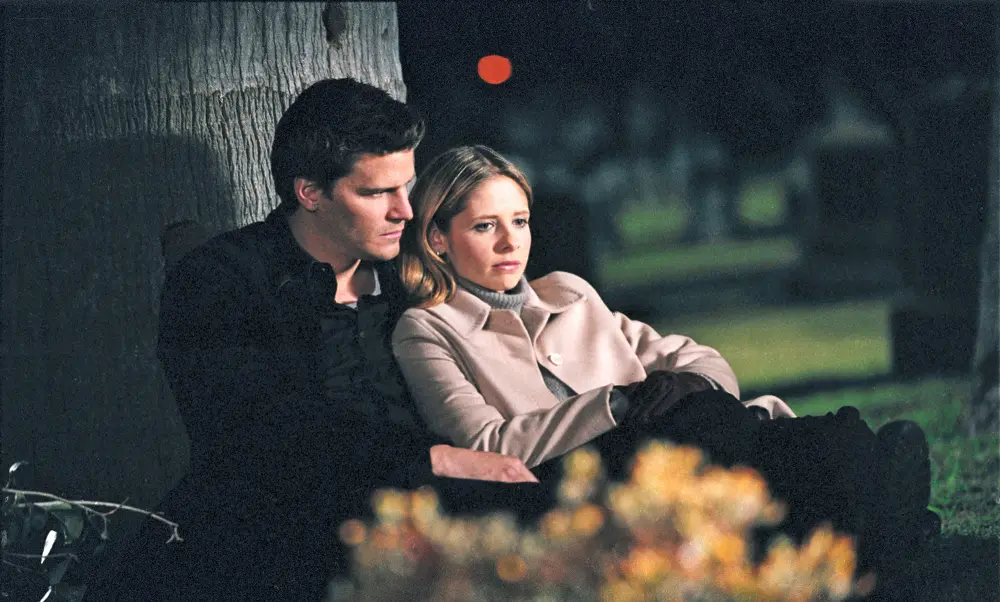 Why David Boreanaz Wont Do Another Network Show