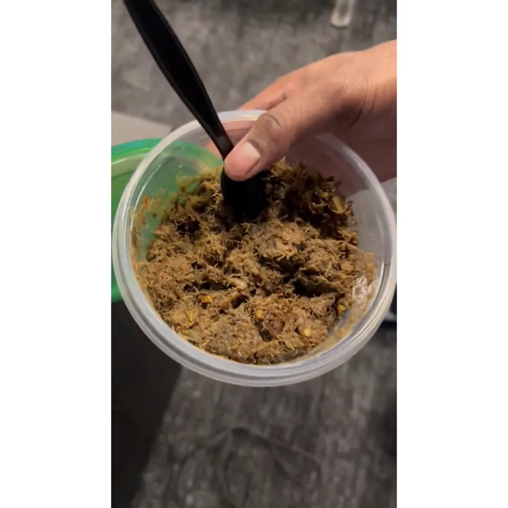 Xavier Legette Brought Raccoon Meat to Practice