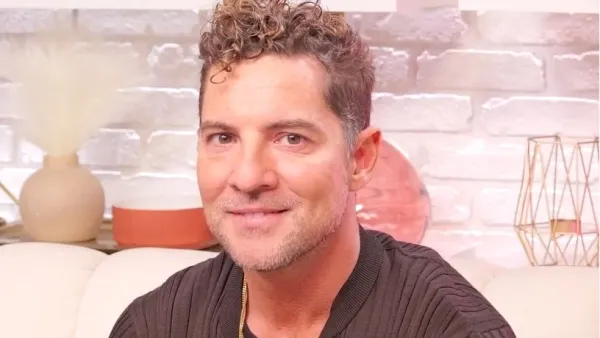 David Bisbal