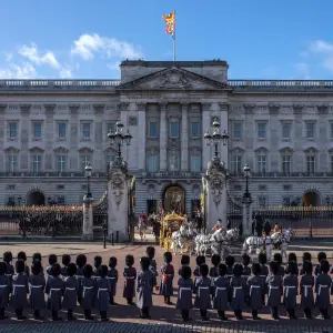 Buckingham Palace Staffer Arrested Following Christmas Party Brawl