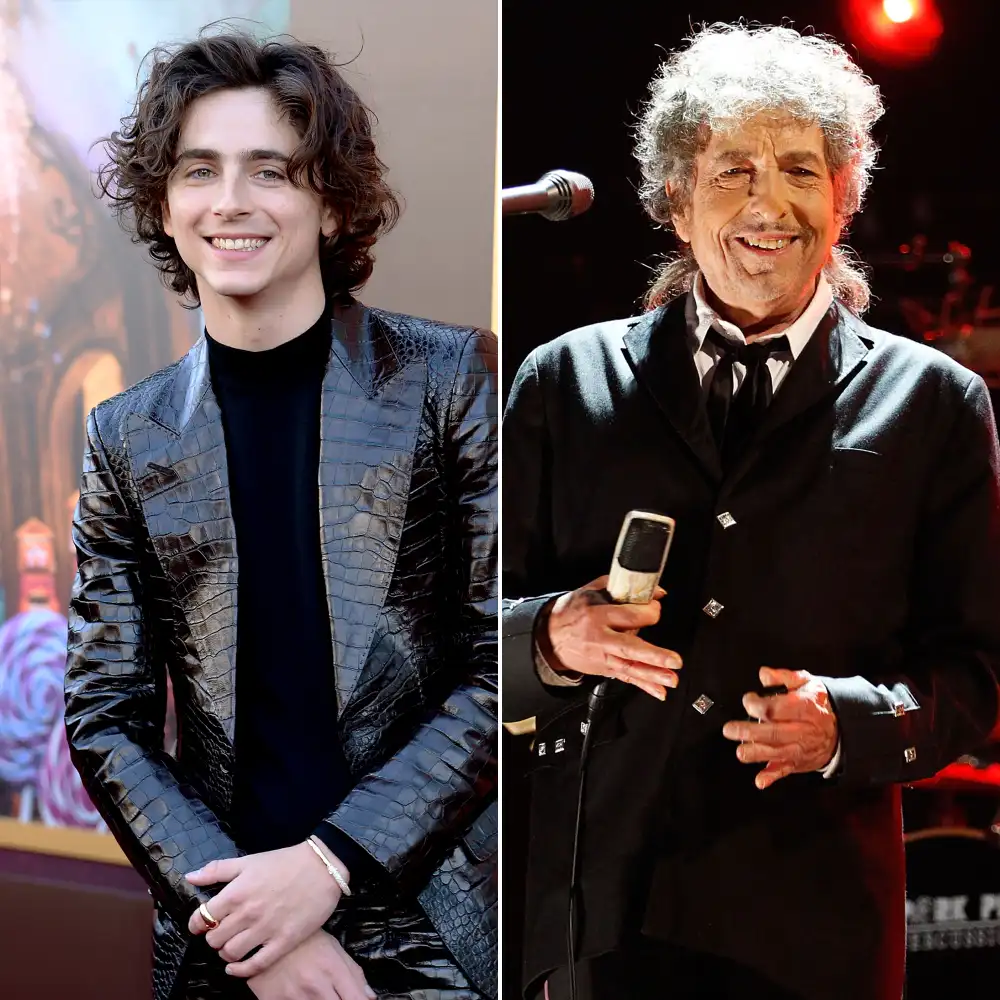 Timothee Chalamet Floored by Bob Dylan Praise of A Complete Unknown