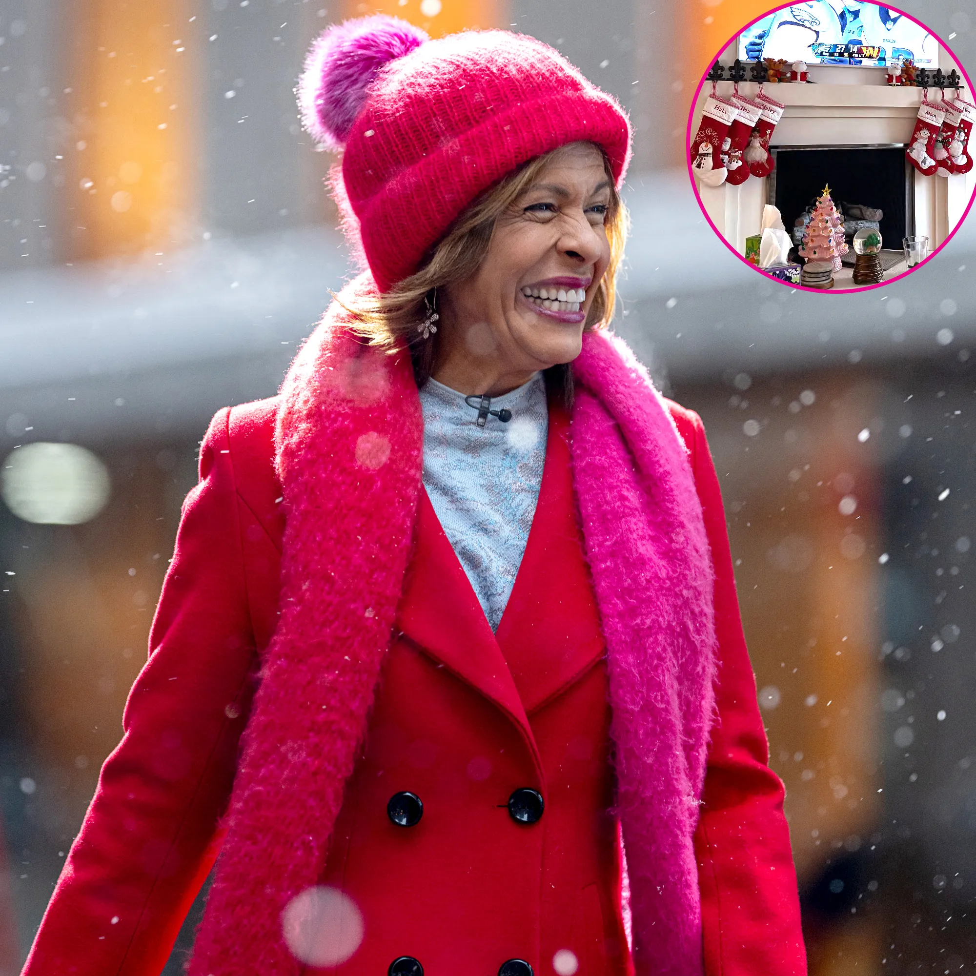 Today Hoda Kotb Shows Off Her Suburban Replica Luxury Handbag Christmas Decorations