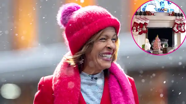 Today Hoda Kotb Shows Off Her Suburban Replica Luxury Handbag Christmas Decorations