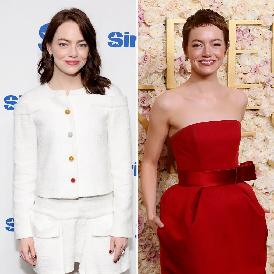 2025 Hair Transformations