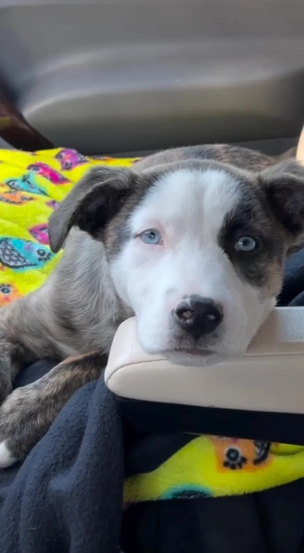 Billy Ray Cyrus Returns to Social Media After Sons Drama Over His Health