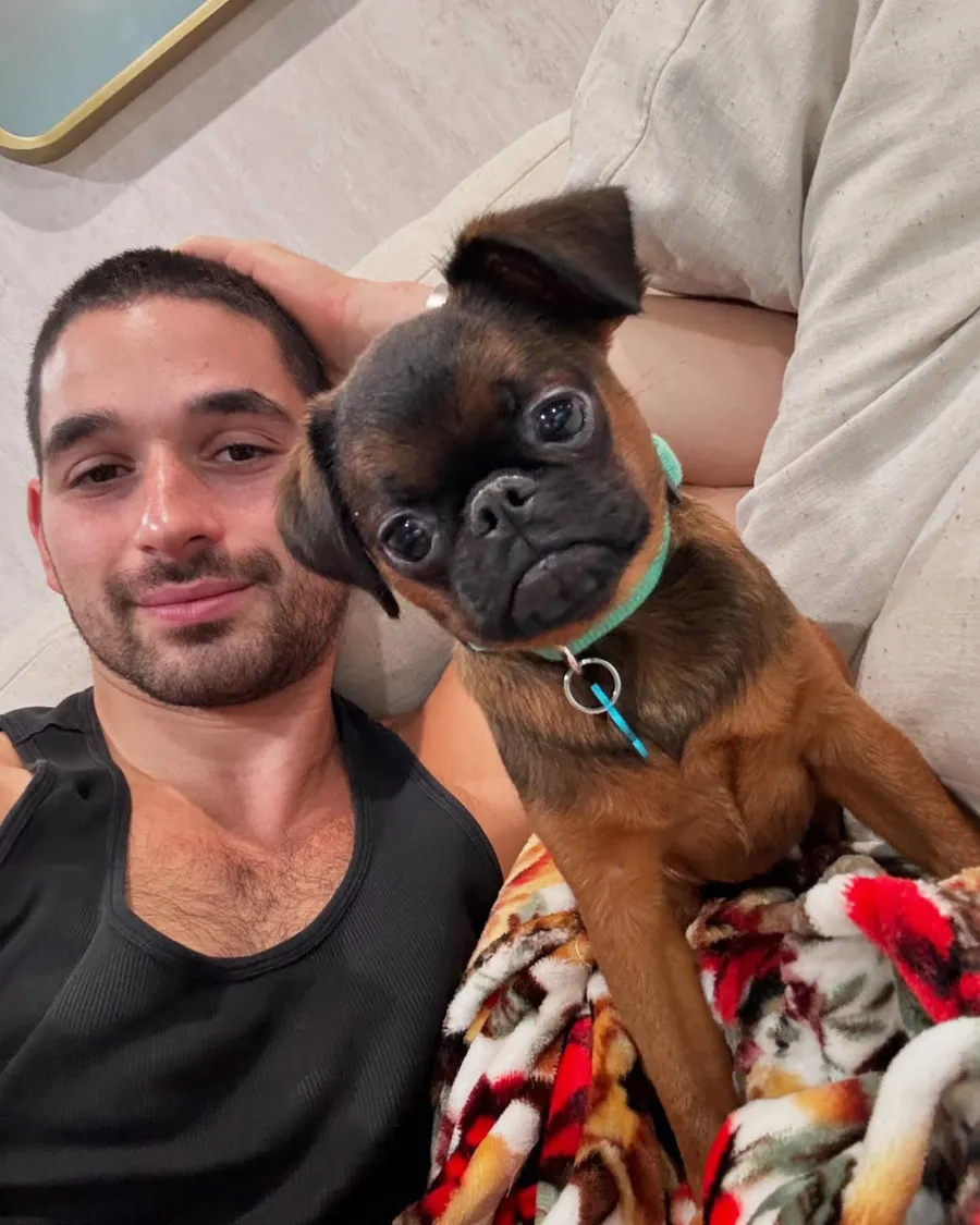 A Complete Guide to Dancing With the Stars Casts Pets Alan Bersten