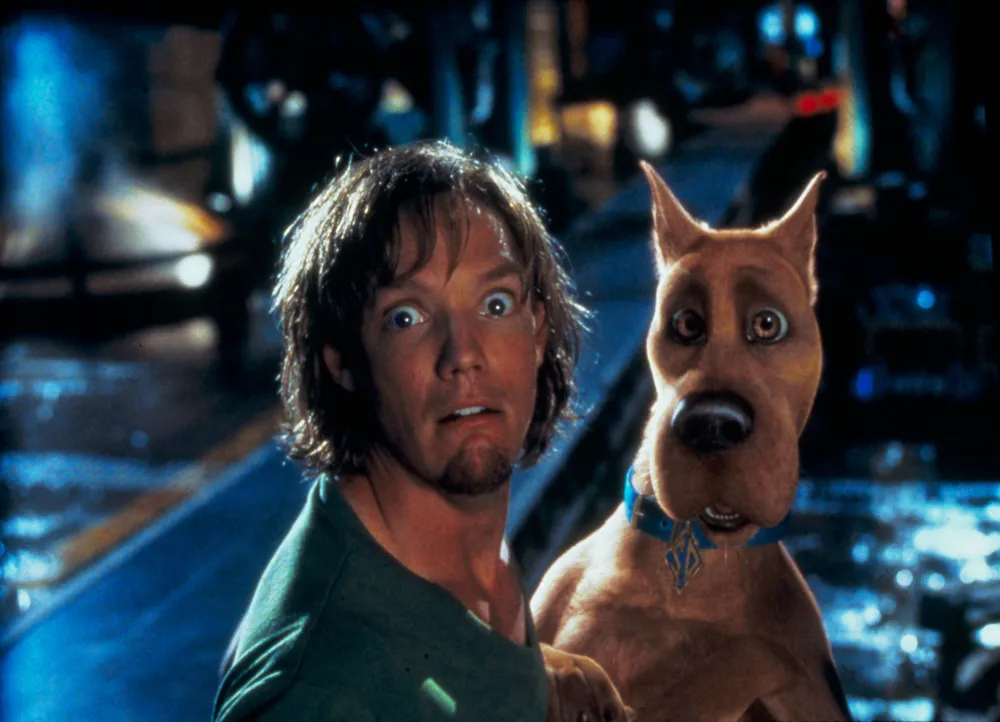 A Lookback at Matthew Lillard Best Roles