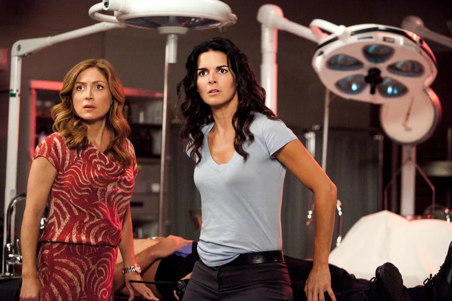 Best TV Crime Couples of All Time Ranked Stabler and Benson Castle and Beckett and More