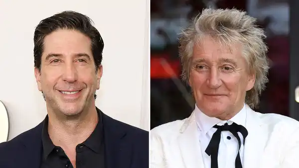 David Schwimmer Served Rod Stewart Divorce Papers