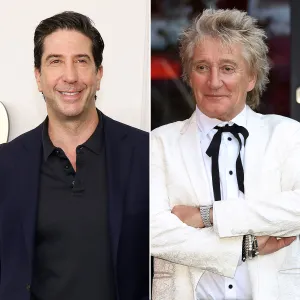 David Schwimmer Served Rod Stewart Divorce Papers