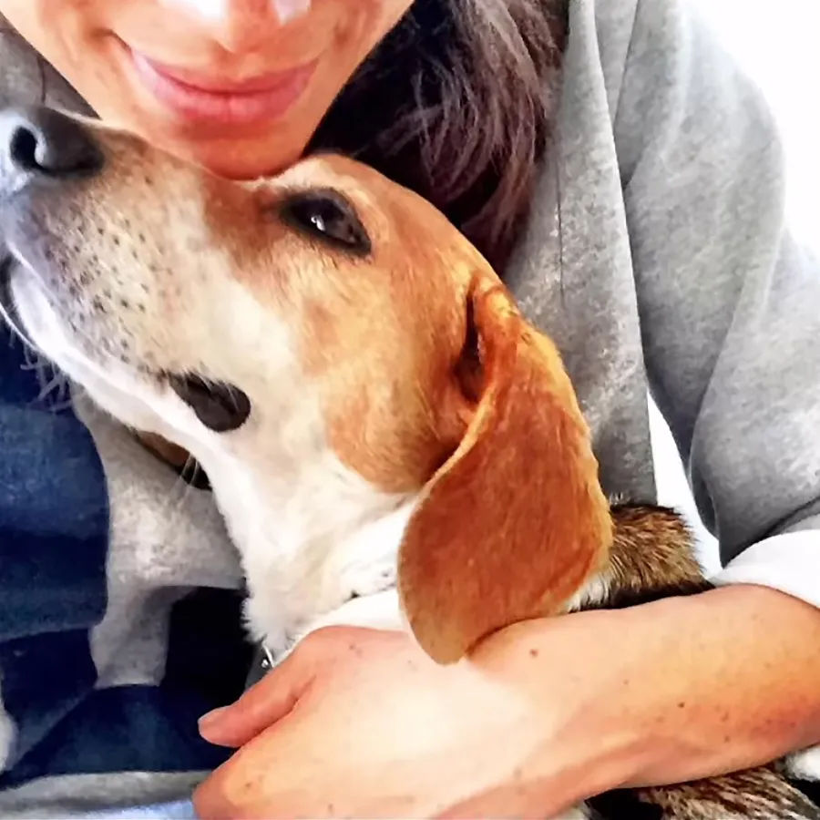 Everything Prince Harry and Meghan Markle Have Said About Their Rescue Dogs