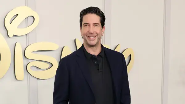 David Schwimmer