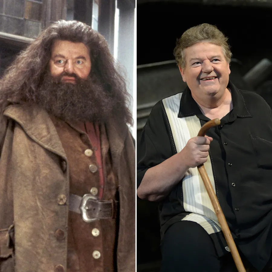 Harry Potter Stars Where Are They Now