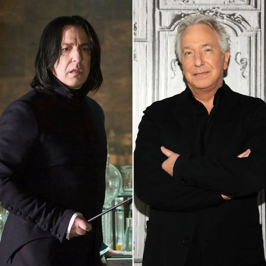 Harry Potter Stars Where Are They Now