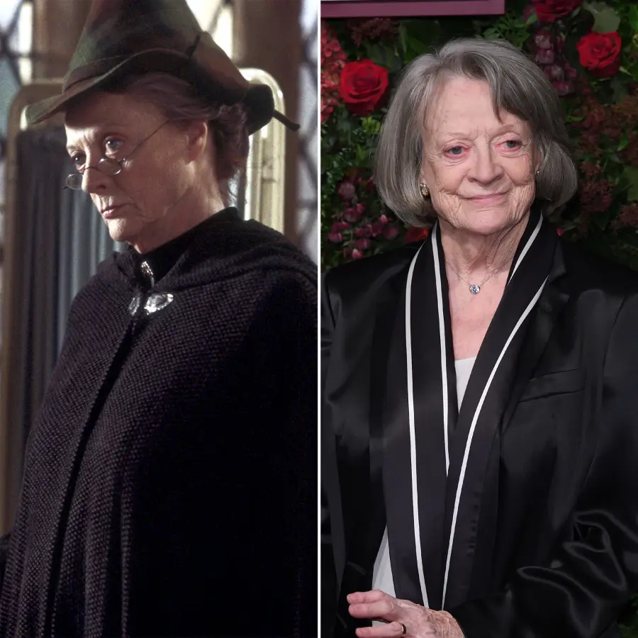 Harry Potter Stars Where Are They Now